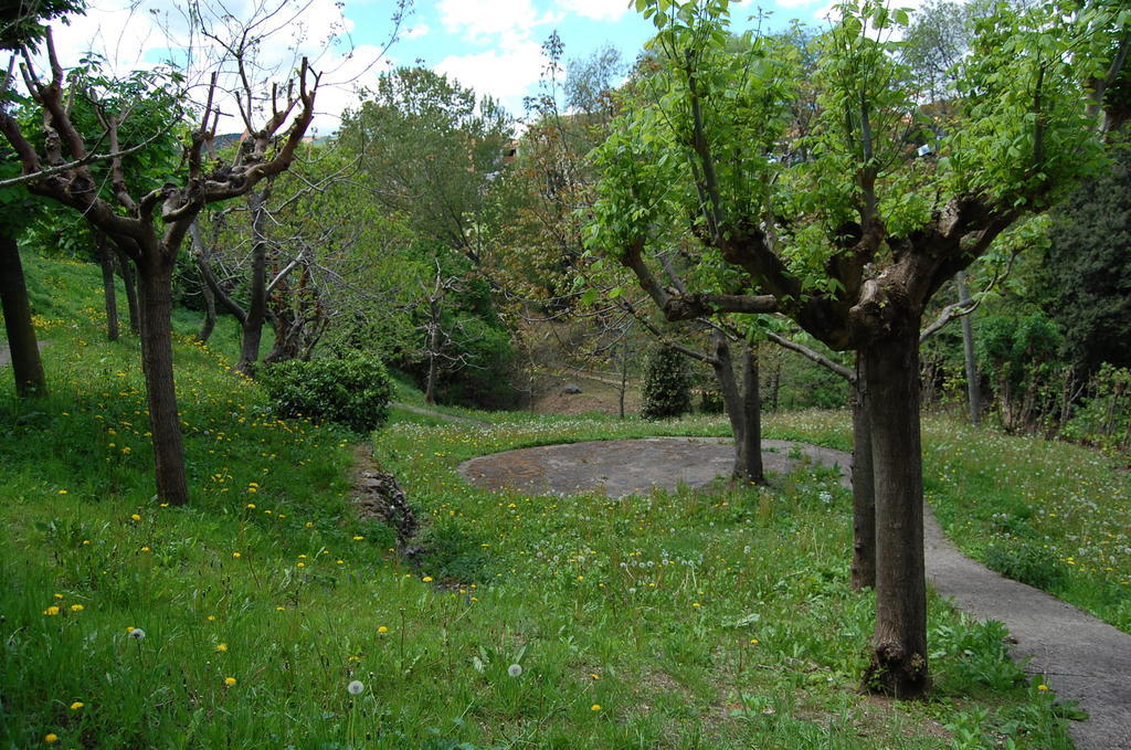 Can Salgueda Santa Pau Chambre photo