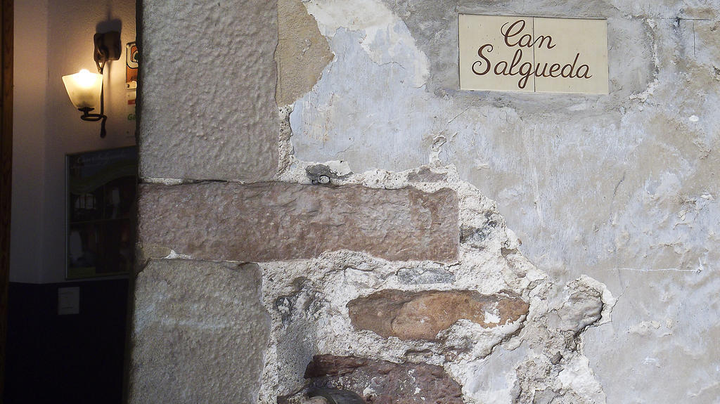 Can Salgueda Santa Pau Chambre photo